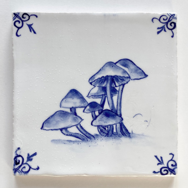 Paddestoelen